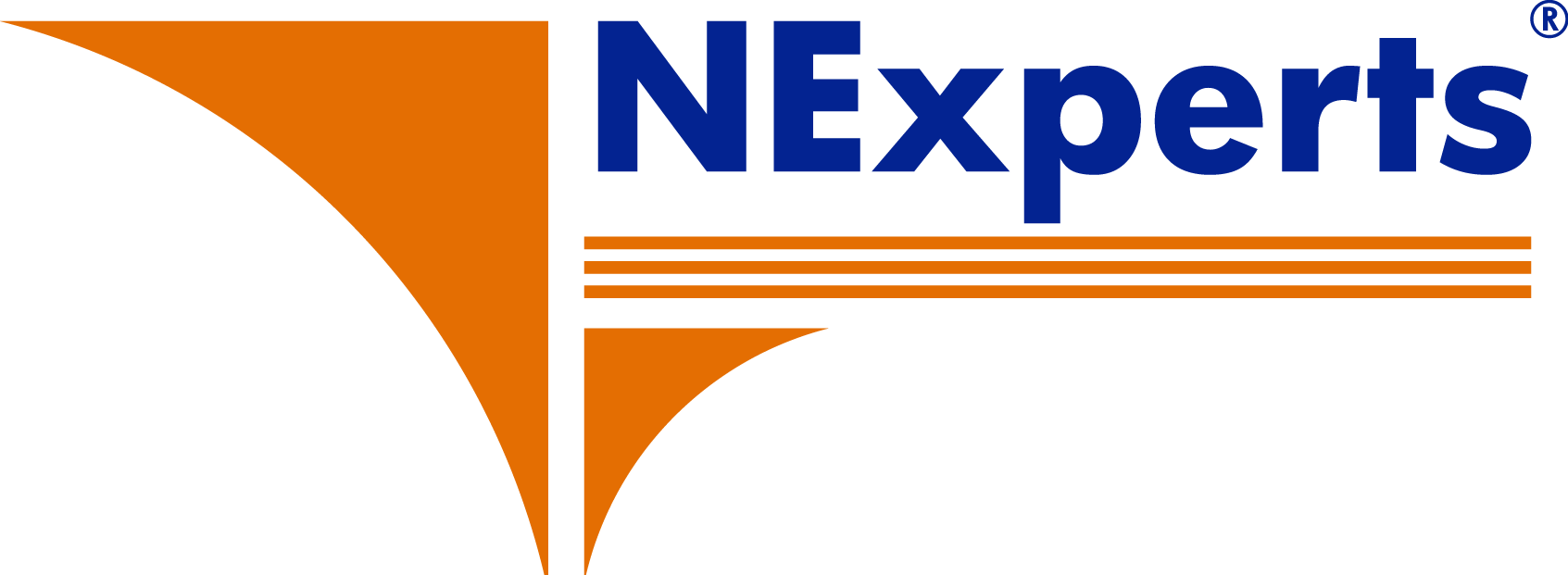 Logo VNE
