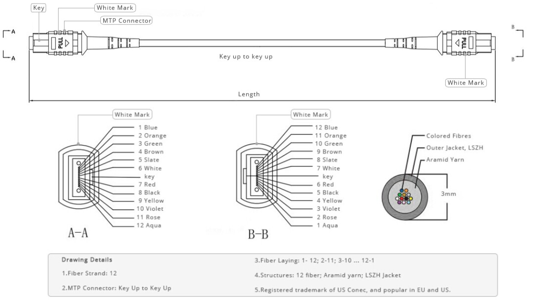 12 Fiber, MTP/MPO OM4 50/125 Trunk Cables