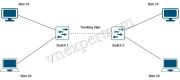 VLAN là gì? Hướng dẫn cấu hình VLAN cơ bản trên Cisco Switch