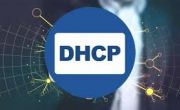 DHCP là gì? Vai trò và cách hoạt động trong hệ thống mạng